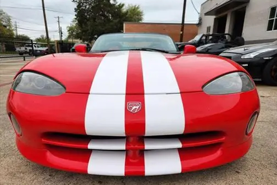 Viper detail 1